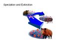 Speciation%20and%20Extinction PowerPoint PPT Presentation