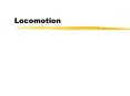 Locomotion PowerPoint PPT Presentation