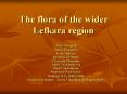 The flora of the wider Lefkara region PowerPoint PPT Presentation