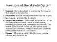 Functions of the Skeletal System PowerPoint PPT Presentation
