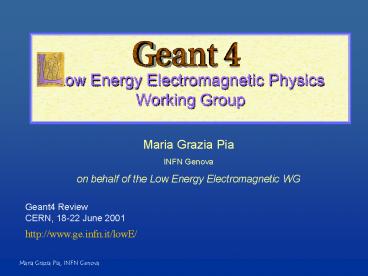 Low Energy Electromagnetic Physics Working Group