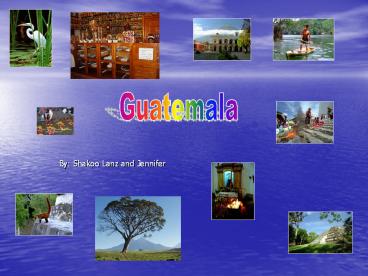 By: Shakoo Lanz and Jennifer