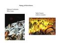 Timing of Disturbance PowerPoint PPT Presentation
