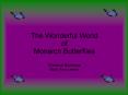 The Wonderful World of Monarch Butterflies Christine Buckman Mary Ann Lentini PowerPoint PPT Presentation