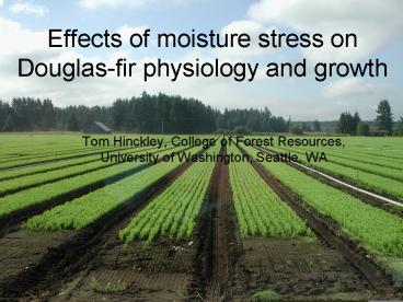 Effects of moisture stress on Douglas-fir physiology and growth