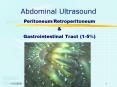Abdominal Ultrasound PowerPoint PPT Presentation