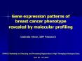 Gene expression patterns of breast cancer phenotype revealed by molecular profiling PowerPoint PPT Presentation