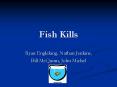 Fish Kills PowerPoint PPT Presentation