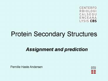 Protein Secondary Structures