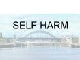 SELF HARM PowerPoint PPT Presentation