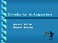 Introduction to Acupuncture PowerPoint PPT Presentation