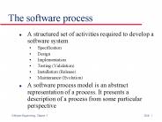 The software process