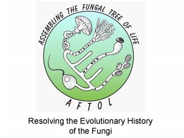 Resolving the Evolutionary History of the Fungi