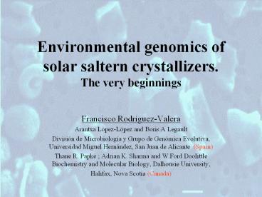 Environmental genomics of solar saltern crystallizers. The very beginnings 