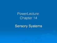 PowerLecture: Chapter 14