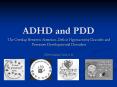 ADHD and PDD PowerPoint PPT Presentation