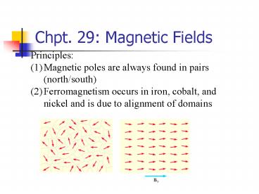 Chpt' 29: Magnetic Fields