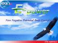 New Negative Potential Body Energizer PowerPoint PPT Presentation