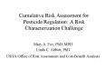 Cumulative Risk Assessment for Pesticide Regulation: A Risk Characterization Challenge PowerPoint PPT Presentation