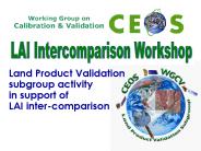 Land Product Validation subgroup activity