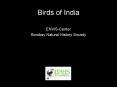 Birds of India PowerPoint PPT Presentation