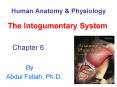 Human Anatomy PowerPoint PPT Presentation