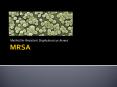MRSA PowerPoint PPT Presentation