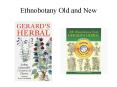 Ethnobotany Old and New PowerPoint PPT Presentation