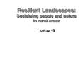 Resilient Landscapes: Sustaining people and nature in rural areas PowerPoint PPT Presentation
