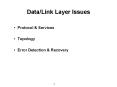 Data/Link Layer Issues PowerPoint PPT Presentation