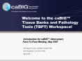 Welcome to the caBIG PowerPoint PPT Presentation