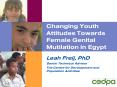 Changing Youth Attitudes Towards Female Genital Mutilation in Egypt PowerPoint PPT Presentation