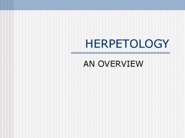 HERPETOLOGY
