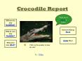 Crocodile Report PowerPoint PPT Presentation