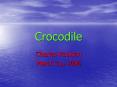 Crocodile PowerPoint PPT Presentation