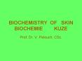 BIOCHEMISTRY OF SKIN BIOCHEMIE KUZE PowerPoint PPT Presentation