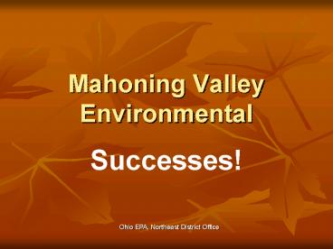 Mahoning Valley Environmental
