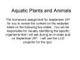 Aquatic Plants and Animals PowerPoint PPT Presentation