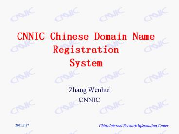 CNNIC Chinese Domain Name Registration System