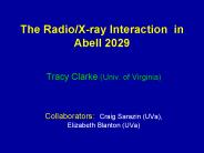 The Radio/X-ray Interaction in Abell 2029