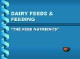 DAIRY FEEDS PowerPoint PPT Presentation