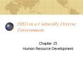 HRD in a Culturally Diverse Environment PowerPoint PPT Presentation