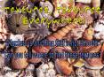 Textures, Textures PowerPoint PPT Presentation