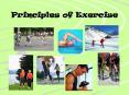Principles of Exercise PowerPoint PPT Presentation