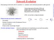 Network Evolution