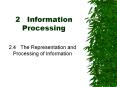 2Information Processing PowerPoint PPT Presentation