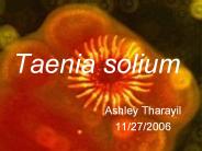 Taenia solium