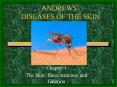 ANDREWS DISEASES OF THE SKIN PowerPoint PPT Presentation