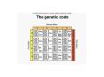 Features of the genetic code: PowerPoint PPT Presentation