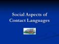 Social Aspects of Contact Languages PowerPoint PPT Presentation
